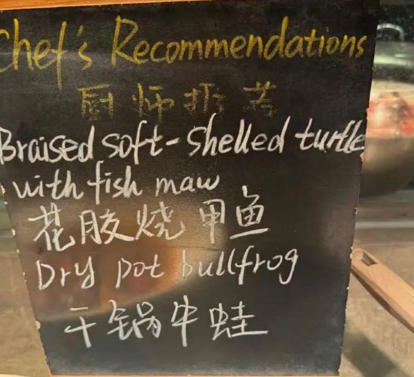 甲鱼和牛蛙, 但却遭到了, 事情 甲鱼和牛蛙, 但却遭到了, 事情
