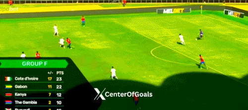 加蓬, 门将盖伊长